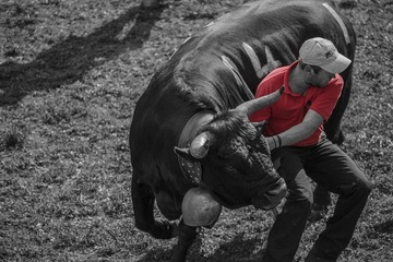DSC_4837_20131006_141926