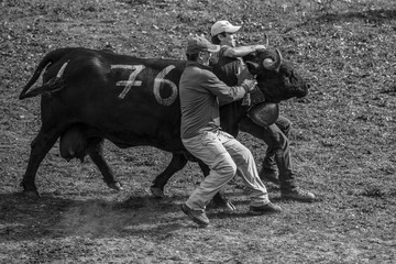 DSC_4879_20131006_144002