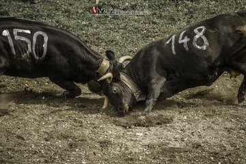 DSC_4927_20131006_145315