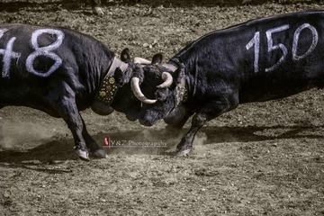 DSC_4948_20131006_145550