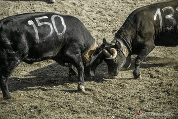 DSC_4974_20131006_151343