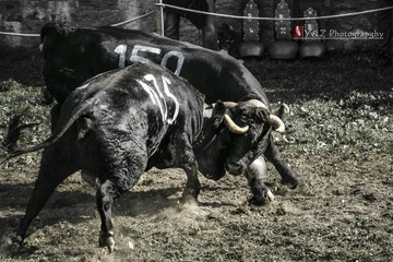 DSC_5006_20131006_152331