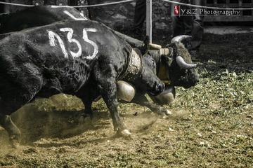 DSC_5007_20131006_152331