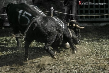 DSC_5008_20131006_152332