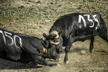 DSC_5026_20131006_152532