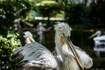 DSC_0939_20140912_072721
