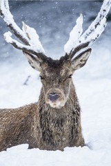 DSC_1034_20141228_151420