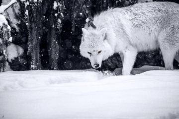 DSC_1073_20141228_153208