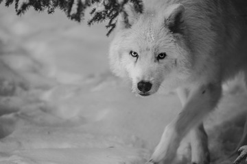 DSC_1087_20141228_153334
