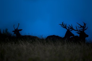 DSC_1376_20140915_043338