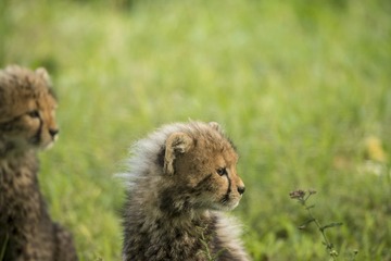 DSC_1234_20140912_100106