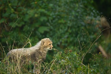 DSC_1251_20140912_100606