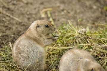 DSC_0977_20140912_074017