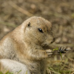 DSC_0999_20140912_074602