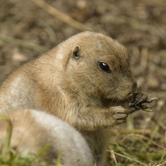 DSC_1000_20140912_074603