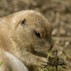 DSC_1003_20140912_074613