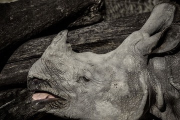 DSC_0886_20140912_071450a