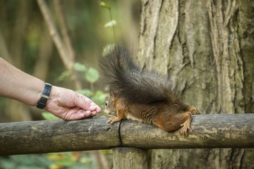 DSC_1186_20140912_093740