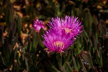 DSC_7278_20170417_184455