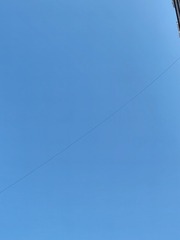 1000197553
