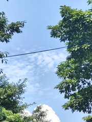 1000018136