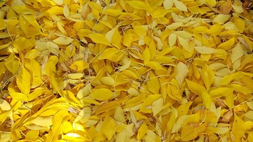 220