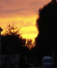 466A1F28-9500-4272-9DD0-82F1C6D1CD55/L0/001