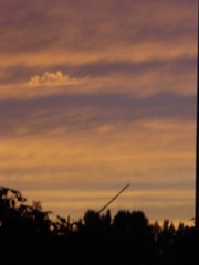 0254C39C-160D-4267-B714-631298C6EE77/L0/001