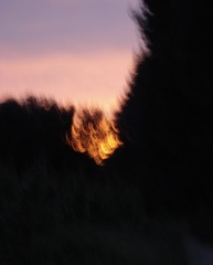 233D1A93-CA01-4115-BC79-4BD354DDF1D4/L0/001