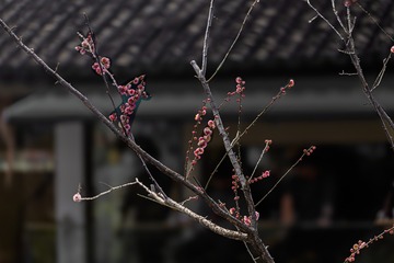 112050