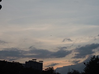 DSCN4964
