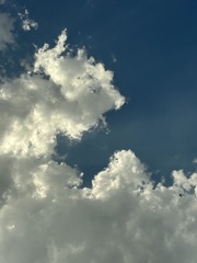 848DD546-C900-4991-B8C1-B0353B777BC4/L0/001