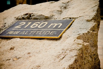 1000040002