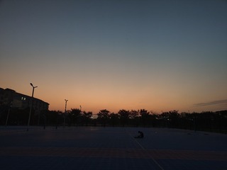 1000181491