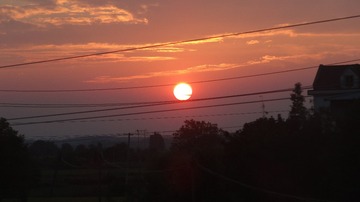 1000044165