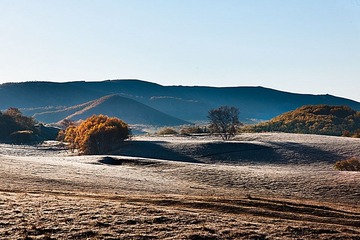 “_DSC5425”为智能对象-1.jpg