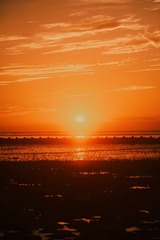 471F7DF1-9CF9-497B-85DD-A68905428084/L0/001
