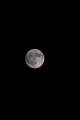 164565A8-0E5D-4703-B35E-ADC9935DC929/L0/001