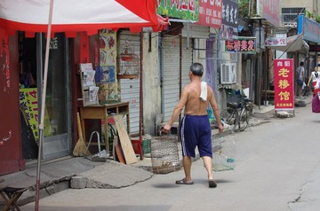 LAY_4429.JPG