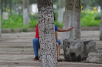 LAY_4246.JPG