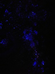 1000002677