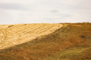 D8E7FC08-6B58-4DF6-95F3-CD4CEC018F91/L0/001