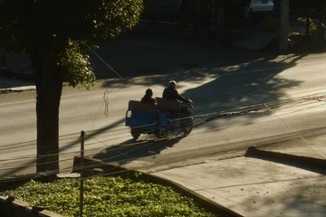 DSCF1655