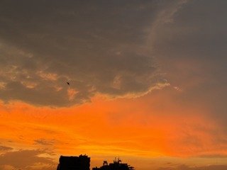 A0897A9F-1C77-4425-91C1-B62F73FBF4DC/L0/001