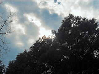 1427153