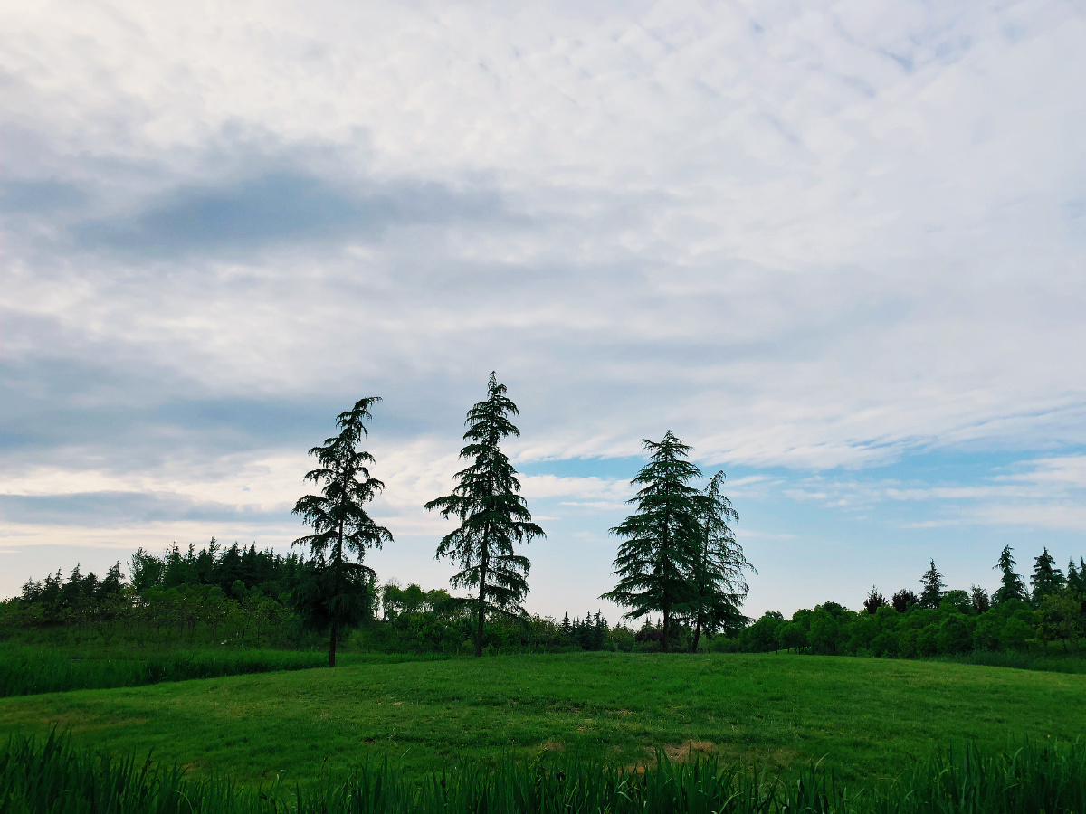 今天的鹤鸣湖公园