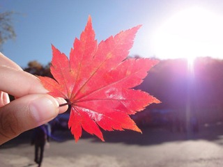 DSC01754.JPG