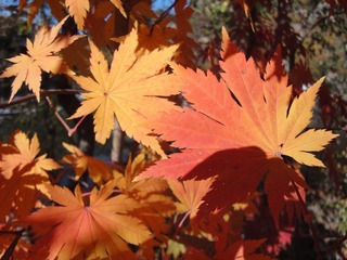 DSC01756.JPG