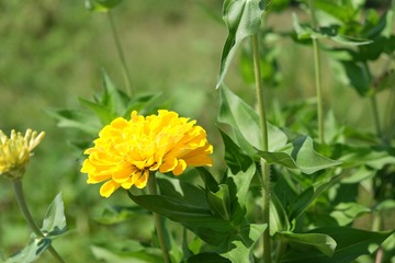 D4833C55-D7E5-4383-BB12-29D08E52B1A1/L0/001
