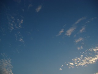 166EE9F2-C873-4D7C-AD2F-9F939B49D374/L0/001